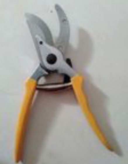 กรรไกรตัดแต่งกิ่งไม้ รูปที่ 7