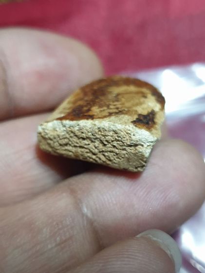 พระผงหลวงปู่ดี วัดบ้านคำฮี ผสมผงพระสมเด็จบางขุนพรม หายาก พบเจอได้น้อยสภาพสวยสมบูรณ์ไม่ผ่านการใช้ รูปที่ 15