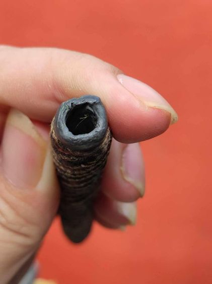 ตะกรุดโทนหลวงพ่อน้อย วัดธรรมศาลา เนื้อตะกั่ว รูปที่ 5