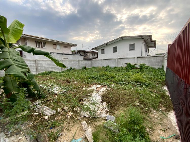 ขายที่ดิน 42.70 ตร.วา. ถมแล้ว ล้อมรั้วคอนกรีตลงเข็มแล้ว ติดจุดขึ้นลงทางด่วนแจ้งวัฒนะ ติดรถไฟฟ้าสายสีชมพู สถานีเมืองทอง เชื่อมแทรมเข้มอิมแพ็ค