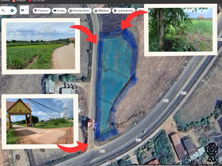 ไม่ใช่ ขายที่ดิน เนื้อที่3ไร่ 2งาน 50ตร.ว จังหวัดเลย อำเภอวังสะพุง รูปที่ 3