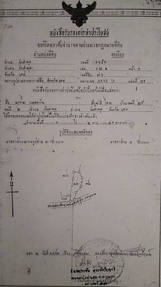 ไม่ใช่ ขายที่ดิน เนื้อที่3ไร่ 2งาน 50ตร.ว จังหวัดเลย อำเภอวังสะพุง รูปที่ 4