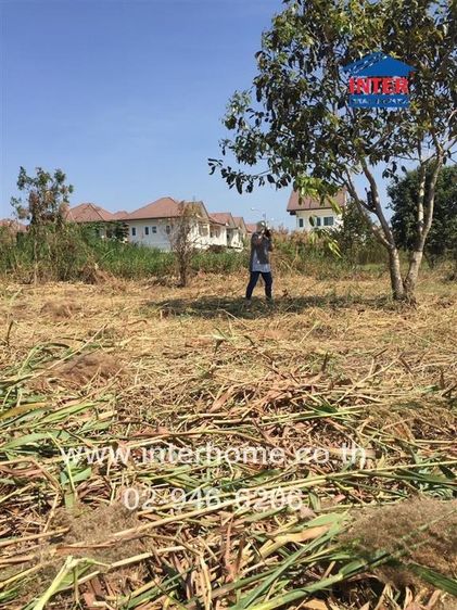 ไม่ใช่ ที่ดินเปล่า 294.9 ตร.ว. ที่ดินเปล่า ซอยสำเร็จพัฒนา ถนนกาญจนาภิเษก ถนนบางกรวย-ไทรน้อย บางกรวย นนทบุรี รูปที่ 4
