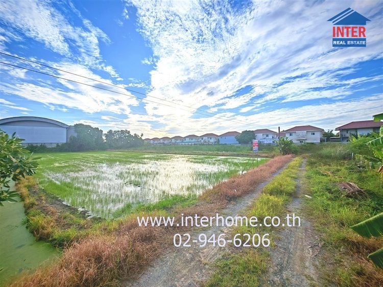 ไม่ใช่ ที่ดินเปล่า 1 ไร่ 200 ตร.ว. ที่ดินเปล่า ใกล้พุทธมณฑล ศูนย์การแพทย์กาญจนาภิเษก ซอยพุทธมณฑลสาย5 ถนนบรมราชชนนี ถนนเพชรเกษม พุทธมณฑล นครปฐม รูปที่ 4