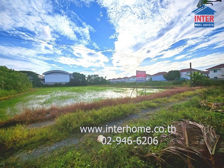 ที่ดินเปล่า 1 ไร่ 200 ตร.ว. ที่ดินเปล่า ใกล้พุทธมณฑล ศูนย์การแพทย์กาญจนาภิเษก ซอยพุทธมณฑลสาย5 ถนนบรมราชชนนี ถนนเพชรเกษม พุทธมณฑล นครปฐม