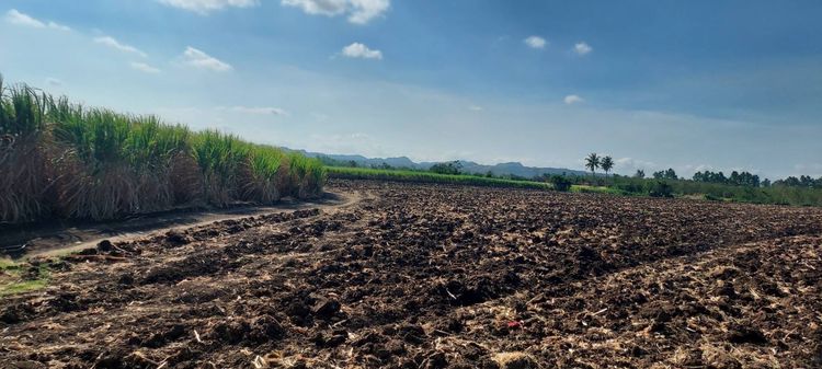 ขายที่ดินวิวเขา 300 ไร่ “ติด My Ozone Resort” หมู่บ้านซับเศรษฐี ต.คลองม่วง อ.ปากช่อง จ.นครราชสีมา รูปที่ 2