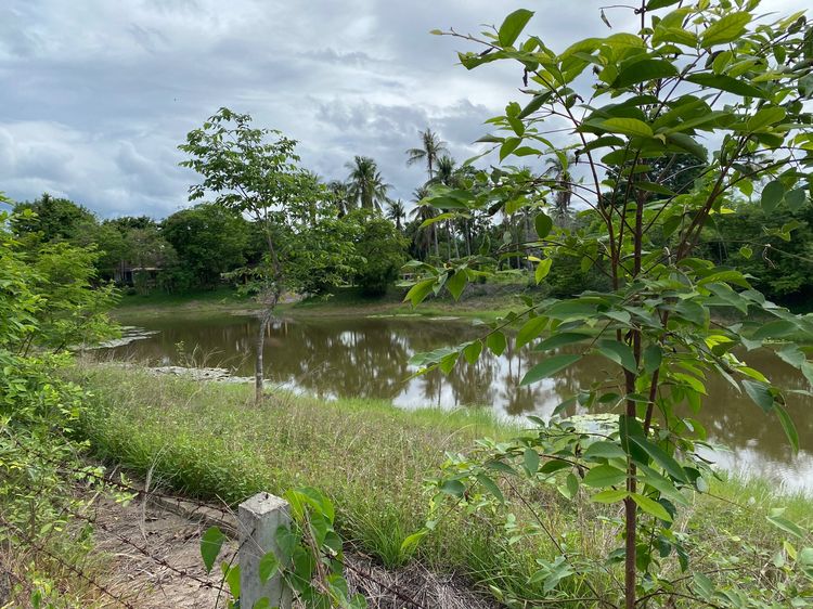 Phuwai hill resort รูปที่ 2
