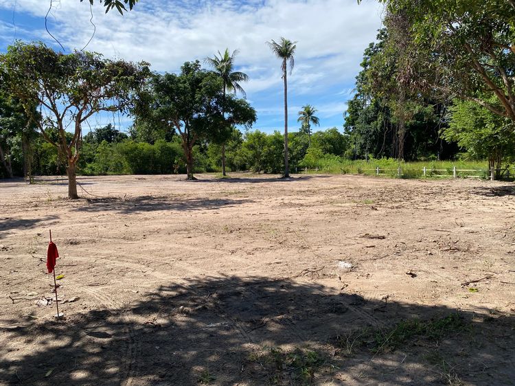 Phuwai hill resort รูปที่ 3