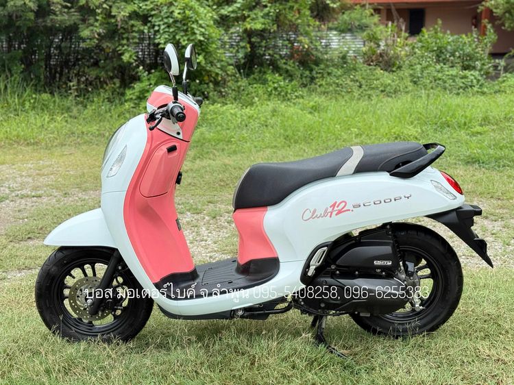 Scoopy i Club12 งามกริ๊ป สภาพนางฟ้า รถปี67(2024) ดาวน์เพียง 1900 ไม่ค้ำ ผ่อนสบายๆ จร้า