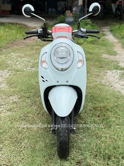 Scoopy i Club12 งามกริ๊ป สภาพนางฟ้า รถปี67(2024) ดาวน์เพียง 1900 ไม่ค้ำ ผ่อนสบายๆ จร้า รูปที่ 3