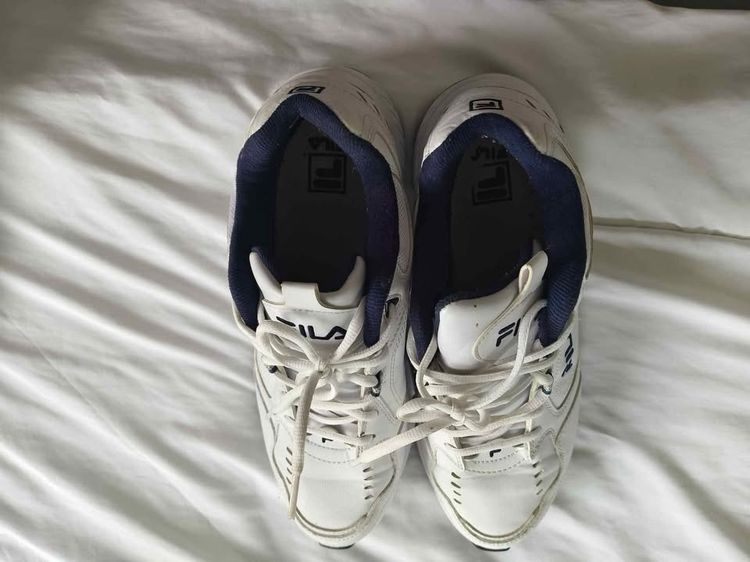 Fila DLS FOAM รูปที่ 6