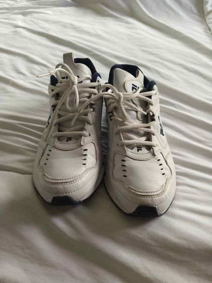 Fila DLS FOAM