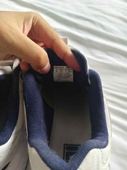 Fila DLS FOAM รูปที่ 9