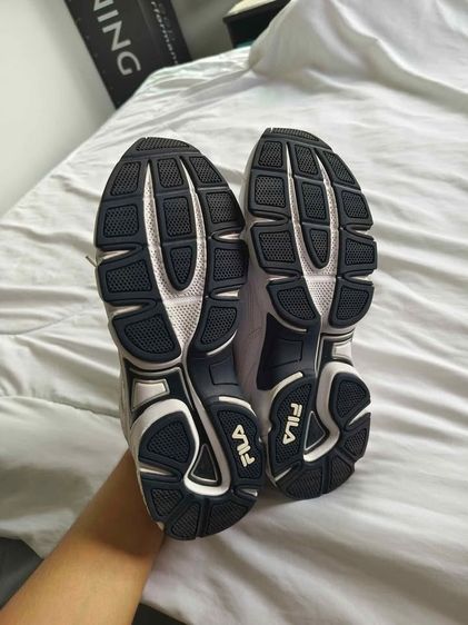 Fila DLS FOAM รูปที่ 4