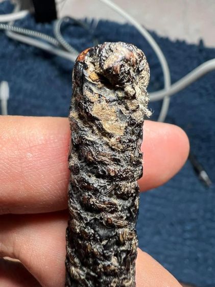 ตะกรุดหลวงพ่อแก้ว วัดสามเรือน อยุธยา ทองแดง ยาว 5 นิ้ว

 รูปที่ 9