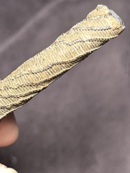 ตะกรุดมหาปราบหลวงพ่อคง วัดบางกะพ้อม รูปที่ 15