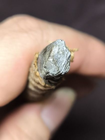 ตะกรุดมหาปราบหลวงพ่อคง วัดบางกะพ้อม รูปที่ 5