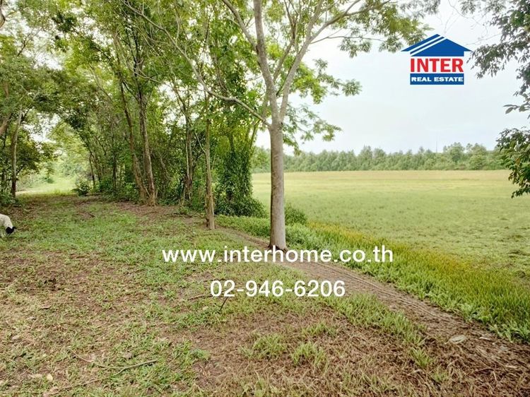 ที่ดินเปล่า 19 ไร่ 184 ตร.ว. ที่ดิน ใกล้วัดสันตยาราม นครนายก ถนนโครงการศาลาประชาธิปไตย-เขาน้อย ถนนรังสิต-นครนายก เมืองนครนายก นครนายก