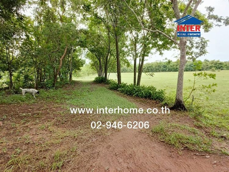 ที่ดินเปล่า 19 ไร่ 184 ตร.ว. ที่ดิน ใกล้วัดสันตยาราม นครนายก ถนนโครงการศาลาประชาธิปไตย-เขาน้อย ถนนรังสิต-นครนายก เมืองนครนายก นครนายก รูปที่ 2