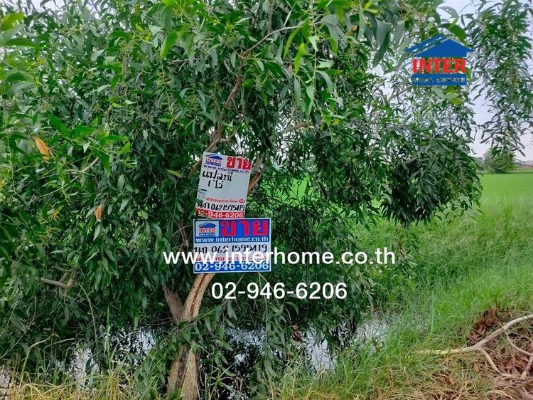 ที่ดินเปล่า 400 ตร.ว. ที่ดินเปล่า ซอยศูนย์บริการทรูเอเจ้นท์พลัส ถนนบางบัวทอง-สุพรรณ ลาดหลุมแก้ว ปทุมธานี รูปที่ 4