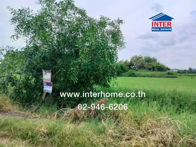 ที่ดินเปล่า 400 ตร.ว. ที่ดินเปล่า ซอยศูนย์บริการทรูเอเจ้นท์พลัส ถนนบางบัวทอง-สุพรรณ ลาดหลุมแก้ว ปทุมธานี รูปที่ 2