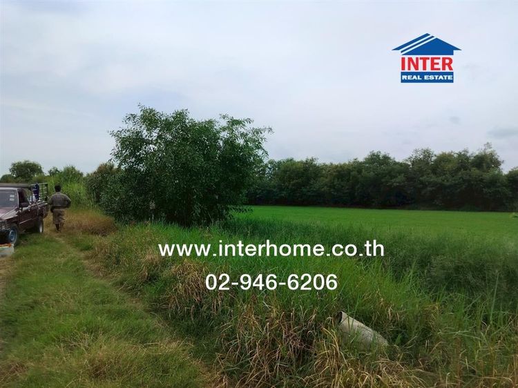 ที่ดินเปล่า 400 ตร.ว. ที่ดินเปล่า ซอยศูนย์บริการทรูเอเจ้นท์พลัส ถนนบางบัวทอง-สุพรรณ ลาดหลุมแก้ว ปทุมธานี