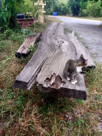 ชุดโต๊ะนั่งยาว รูปที่ 2