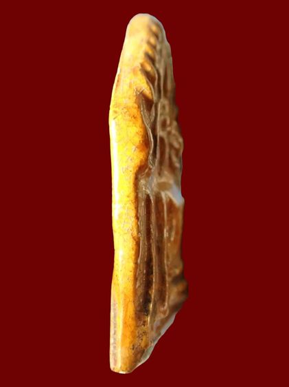 พระขุนแผนเคลือบ กรุวัดใหญ่ชัยมงคล  PKP005 รูปที่ 3