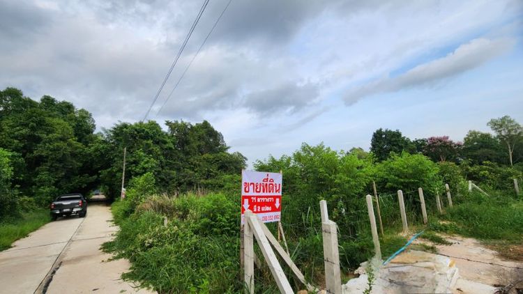 ที่ดินเปล่าอ.วาริน จ.อุบล รูปที่ 2