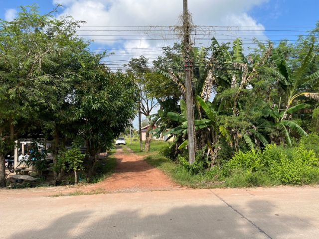 ทีดินใกล้เมืองราคาถูก รูปที่ 4