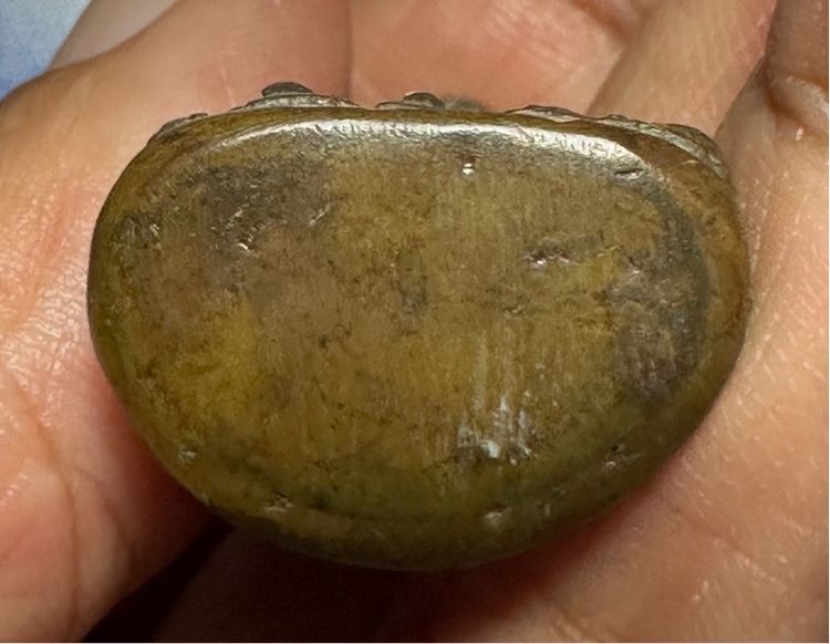 พระกริ่งเก่า ไม่ทราบที่ รูปที่ 6