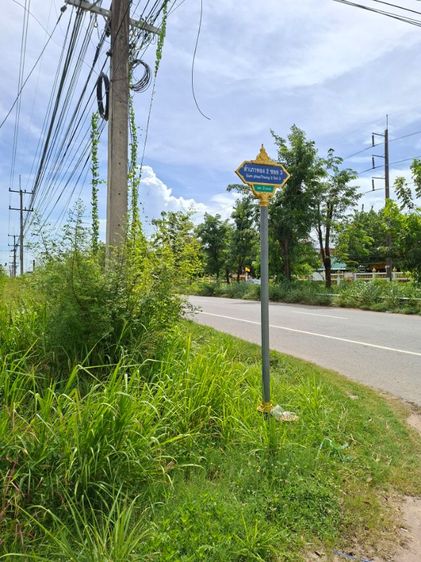 ที่ดินเหมะสร้างบ้านราคาถูก รูปที่ 3