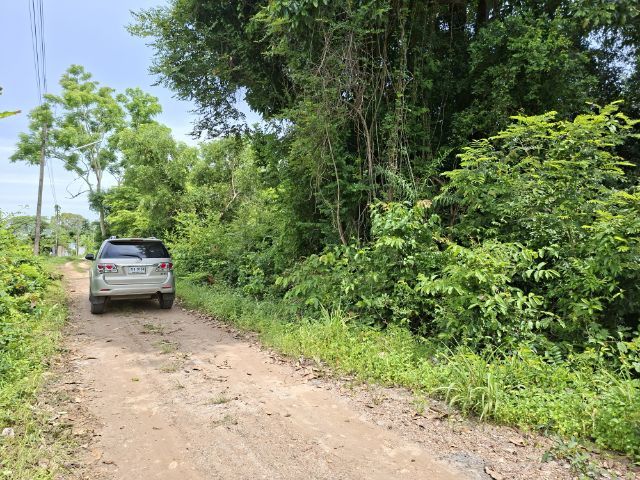 ที่ดินเหมะสร้างบ้านราคาถูก รูปที่ 2