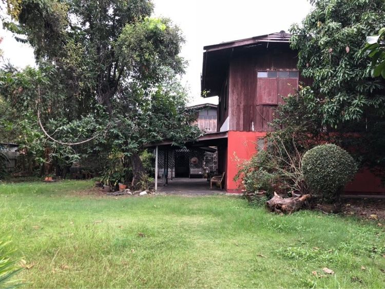 ขายบ้านพร้อมที่ดินสวยพิกัดในซอย 48 ถนนสุขุมวิท เข้าซอย 100 เมตร 146 ตรว 