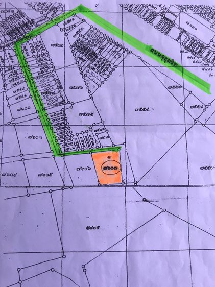 ขายบ้านพร้อมที่ดินสวยพิกัดในซอย 48 ถนนสุขุมวิท เข้าซอย 100 เมตร 146 ตรว  รูปที่ 4