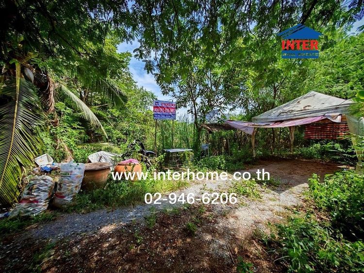 ไม่ใช่ ที่ดินเปล่า 134.8 ตร.ว. ที่ดิน หมู่บ้านสมพงษ์ ซอยวัดมงคลประชาราม ซอยวัดมงคลประชาราม ถนนบรมราชชนนี ถนนคลองโยง นครชัยศรี นครปฐม รูปที่ 3