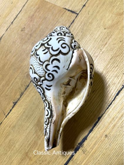 หอยสังข์ แกะสลักA3 รูปที่ 6