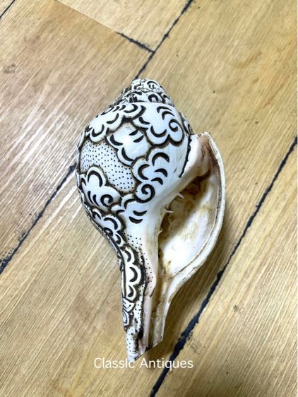 หอยสังข์ แกะสลักA3 รูปที่ 5