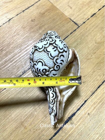 หอยสังข์ แกะสลักA3 รูปที่ 10