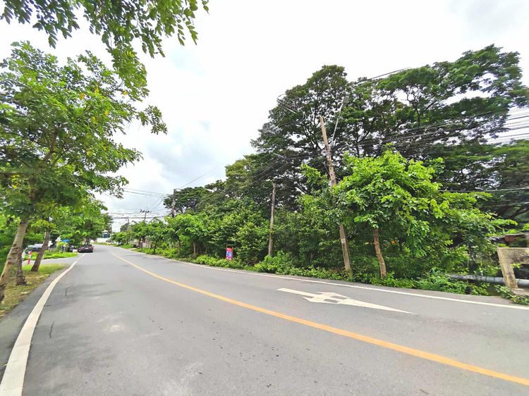 ขายที่ดินเปล่าพื้นที่ 437 ตร.ว. ซ.รามคำแหง118 ถนนรามคำแหง แขวงสะพานสูง เขตสะพานสูง กทม ทำเลดีมากราคาถูกมากติดนนหลัก รูปที่ 3