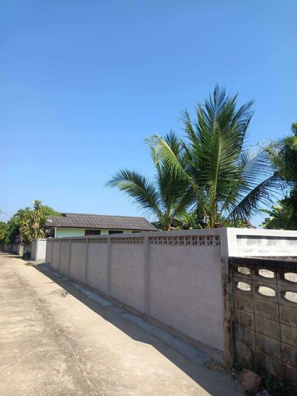 ขายที่ดิน 167 ตรว เหมืองหม้อ แพร่