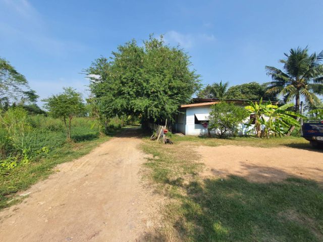 ไม่ใช่ ขายที่ดินเปล่า  ต.โพธิ์แทน อ.องครักษ์  นครนายก รูปที่ 2