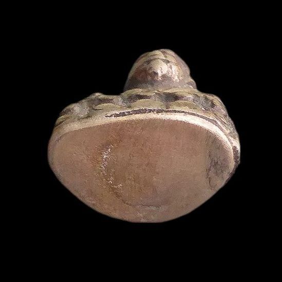 กริ่งหน้าอินเดีย. รูปที่ 5