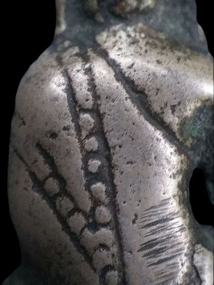 กริ่งหน้าอินเดีย. รูปที่ 15