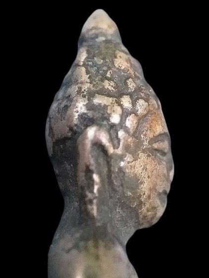 กริ่งหน้าอินเดีย. รูปที่ 17