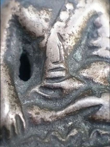 กริ่งหน้าอินเดีย. รูปที่ 8