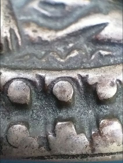 กริ่งหน้าอินเดีย. รูปที่ 9