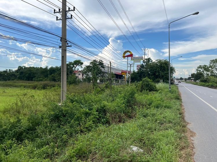 ขายที่ดิน 8 ไร่ ติดถนนสายเอเชีย หน้านิคมไฮเทค บางปะอิน 098 7755 808 รูปที่ 4