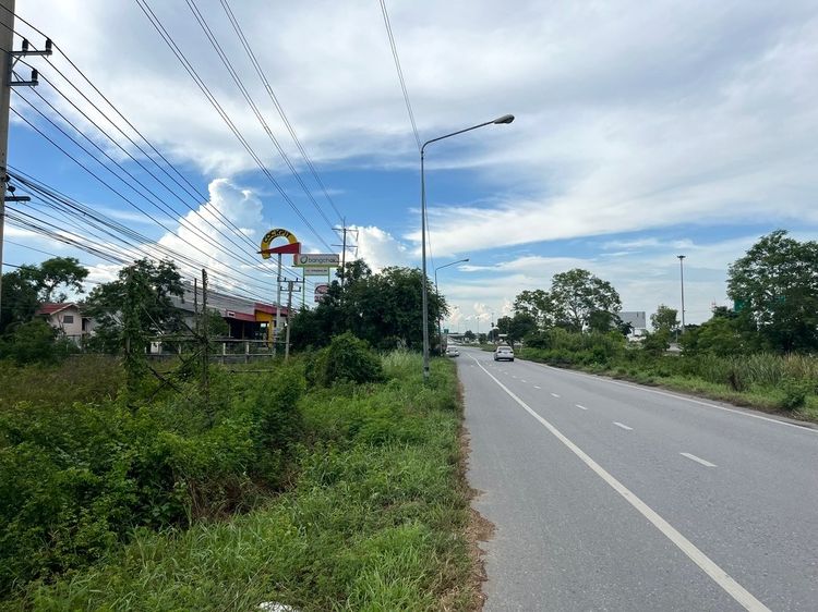 ขายที่ดิน 8 ไร่ ติดถนนสายเอเชีย หน้านิคมไฮเทค บางปะอิน 098 7755 808 รูปที่ 2