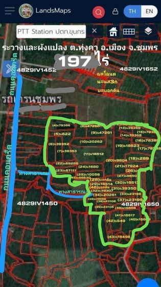 ขายที่ดิน 79 ไร่ ต.ทุ่งคา อ.เมือง จ.ชุมพร  (มีแบ่งแปลง 8-10 ไร่) รูปที่ 4